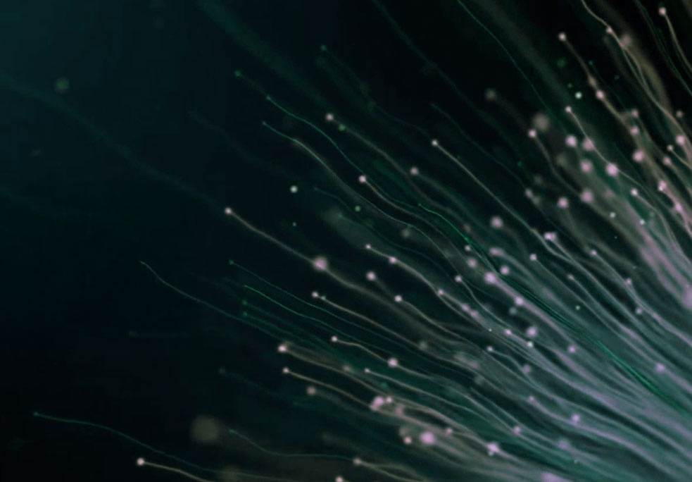 Abstraktes Foto grün-violett leuchtender, fächerförmig auslaufender Glasfaser­bündel auf dunklem Hintergrund, Sinnbild für schnelle Glasfaser­kommunikation und Medien-Downloads.